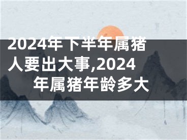 2024年下半年属猪人要出大事,2024年属猪年龄多大