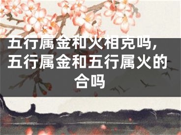 五行属金和火相克吗,五行属金和五行属火的合吗