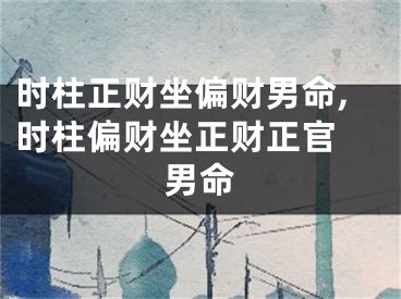 时柱正财坐偏财男命,时柱偏财坐正财正官 男命