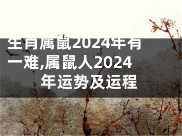 生肖属鼠2024年有一难,属鼠人2024年运势及运程