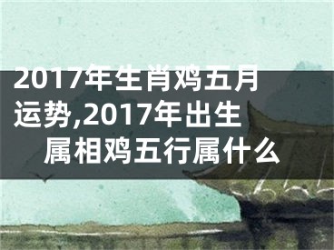 2017年生肖鸡五月运势,2017年出生属相鸡五行属什么