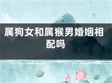 属狗女和属猴男婚姻相配吗