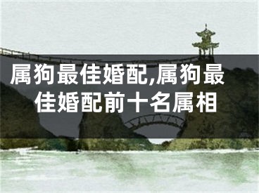 属狗最佳婚配,属狗最佳婚配前十名属相