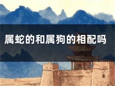 属蛇的和属狗的相配吗