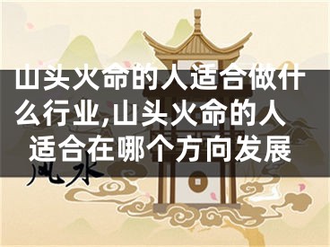 山头火命的人适合做什么行业,山头火命的人适合在哪个方向发展