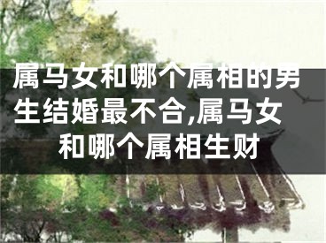 属马女和哪个属相的男生结婚最不合,属马女和哪个属相生财