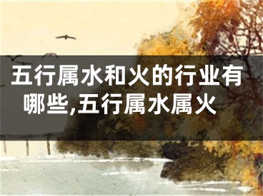 五行属水和火的行业有哪些,五行属水属火
