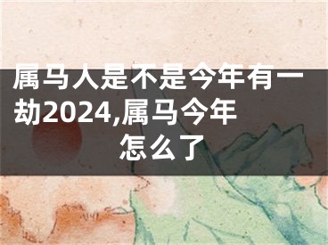 属马人是不是今年有一劫2024,属马今年怎么了