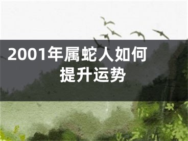 2001年属蛇人如何提升运势