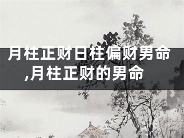 月柱正财日柱偏财男命,月柱正财的男命