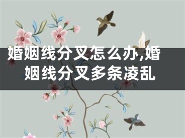 婚姻线分叉怎么办,婚姻线分叉多条凌乱