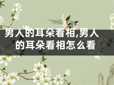 男人的耳朵看相,男人的耳朵看相怎么看