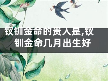 钗钏金命的贵人是,钗钏金命几月出生好