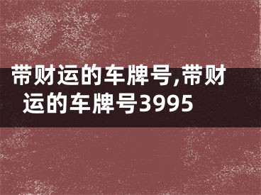 带财运的车牌号,带财运的车牌号3995
