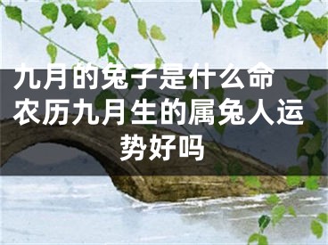九月的兔子是什么命 农历九月生的属兔人运势好吗