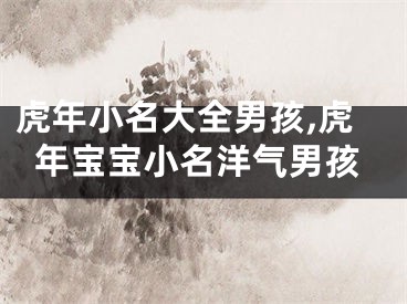 虎年小名大全男孩,虎年宝宝小名洋气男孩