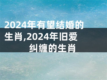 2024年有望结婚的生肖,2024年旧爱纠缠的生肖