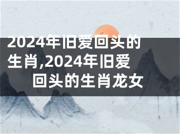 2024年旧爱回头的生肖,2024年旧爱回头的生肖龙女