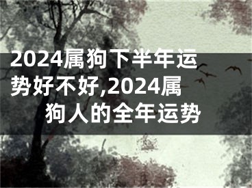 2024属狗下半年运势好不好,2024属狗人的全年运势