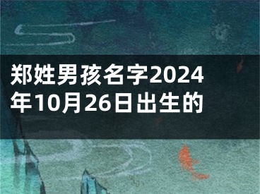 郑姓男孩名字2024年10月26日出生的