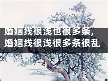 婚姻线很浅也很多条,婚姻线很浅很多条很乱