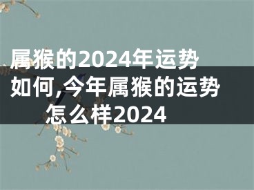 属猴的2024年运势如何,今年属猴的运势怎么样2024