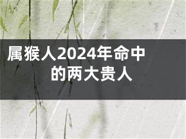 属猴人2024年命中的两大贵人
