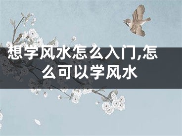 想学风水怎么入门,怎么可以学风水