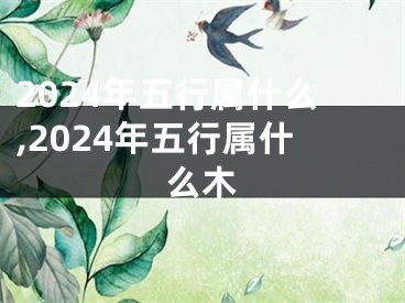 2024年五行属什么,2024年五行属什么木