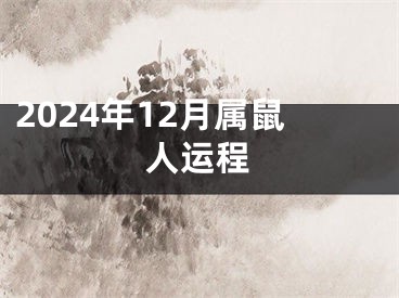 2024年12月属鼠人运程
