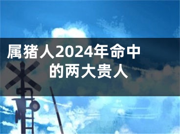 属猪人2024年命中的两大贵人