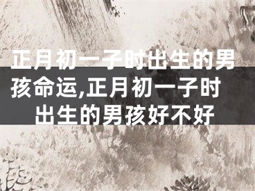 正月初一子时出生的男孩命运,正月初一子时出生的男孩好不好