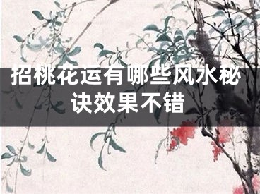 招桃花运有哪些风水秘诀效果不错