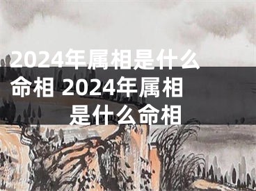 2024年属相是什么命相 2024年属相是什么命相