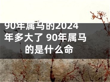 90年属马的2024年多大了 90年属马的是什么命 