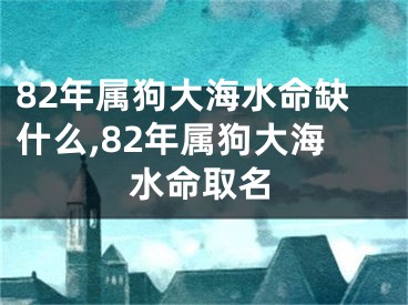 82年属狗大海水命缺什么,82年属狗大海水命取名