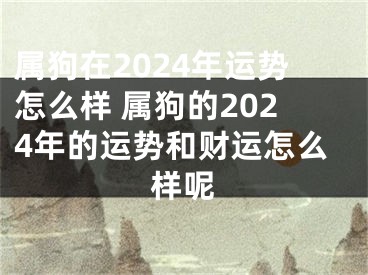 属狗在2024年运势怎么样 属狗的2024年的运势和财运怎么样呢