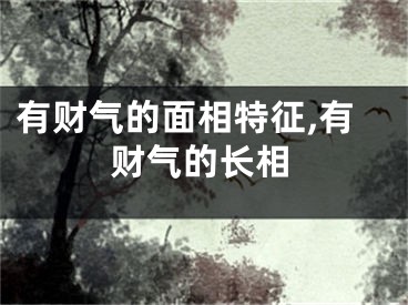 有财气的面相特征,有财气的长相