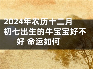2024年农历十二月初七出生的牛宝宝好不好 命运如何 