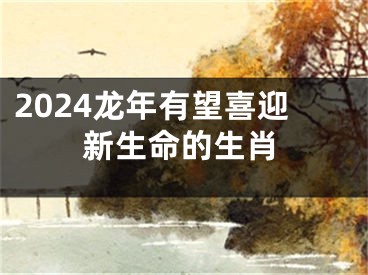 2024龙年有望喜迎新生命的生肖