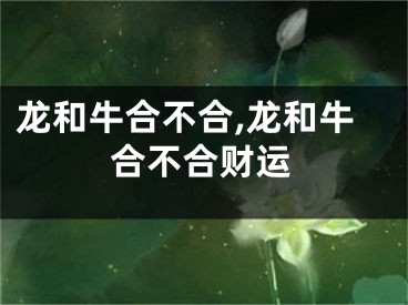 龙和牛合不合,龙和牛合不合财运