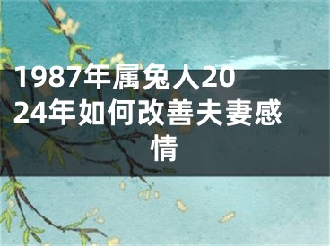 1987年属兔人2024年如何改善夫妻感情