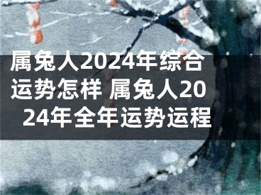 属兔人2024年综合运势怎样 属兔人2024年全年运势运程