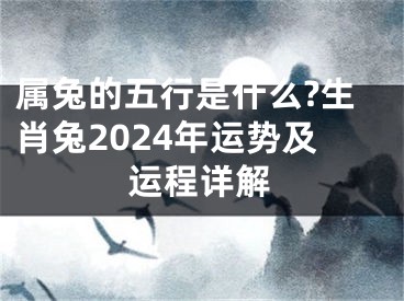 属兔的五行是什么?生肖兔2024年运势及运程详解