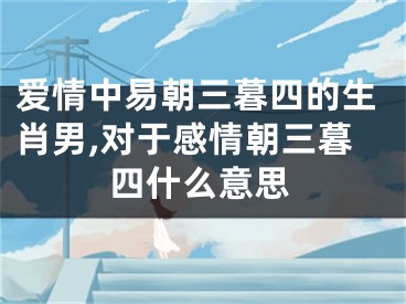 爱情中易朝三暮四的生肖男,对于感情朝三暮四什么意思