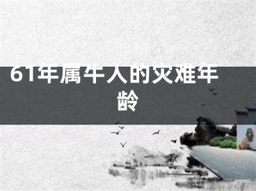 61年属牛人的灾难年龄