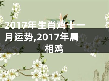 2017年生肖鸡十一月运势,2017年属相鸡