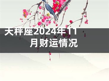 天秤座2024年11月财运情况