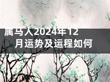 属马人2024年12月运势及运程如何