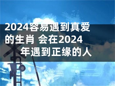 2024容易遇到真爱的生肖 会在2024年遇到正缘的人
